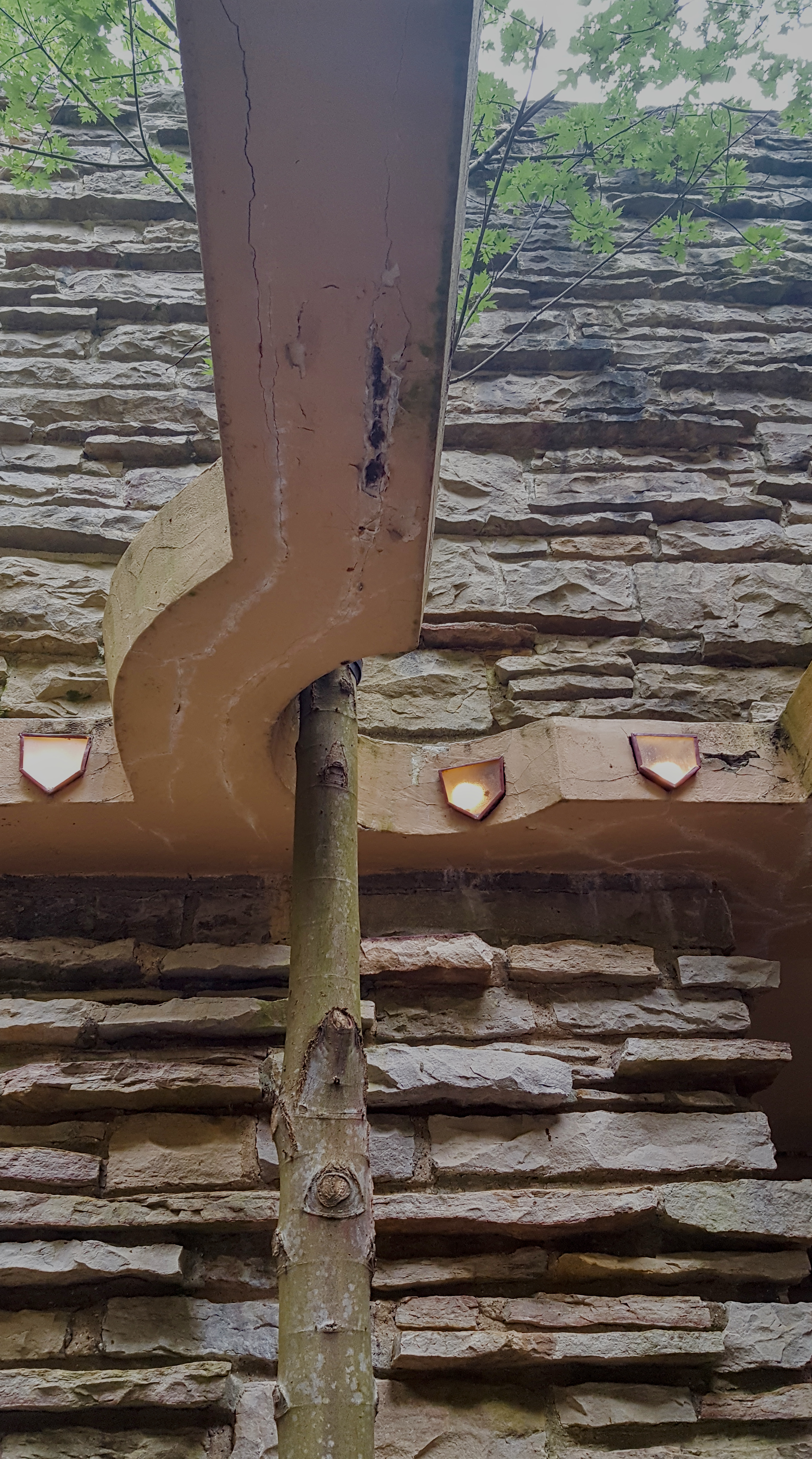 A beam bending around a tree at Fallingwater