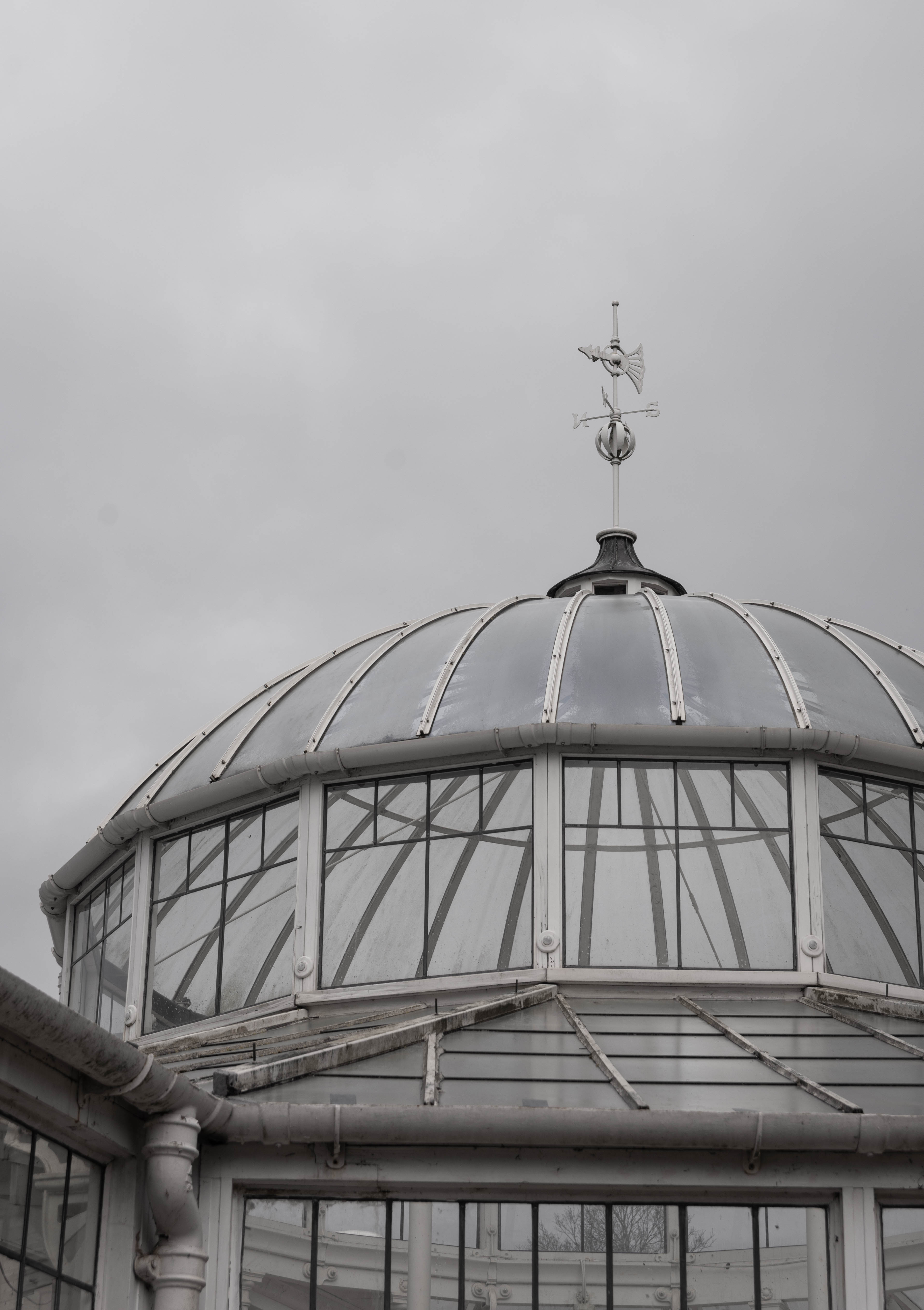 Conservatory Roof Detail at Chiswick Gardens