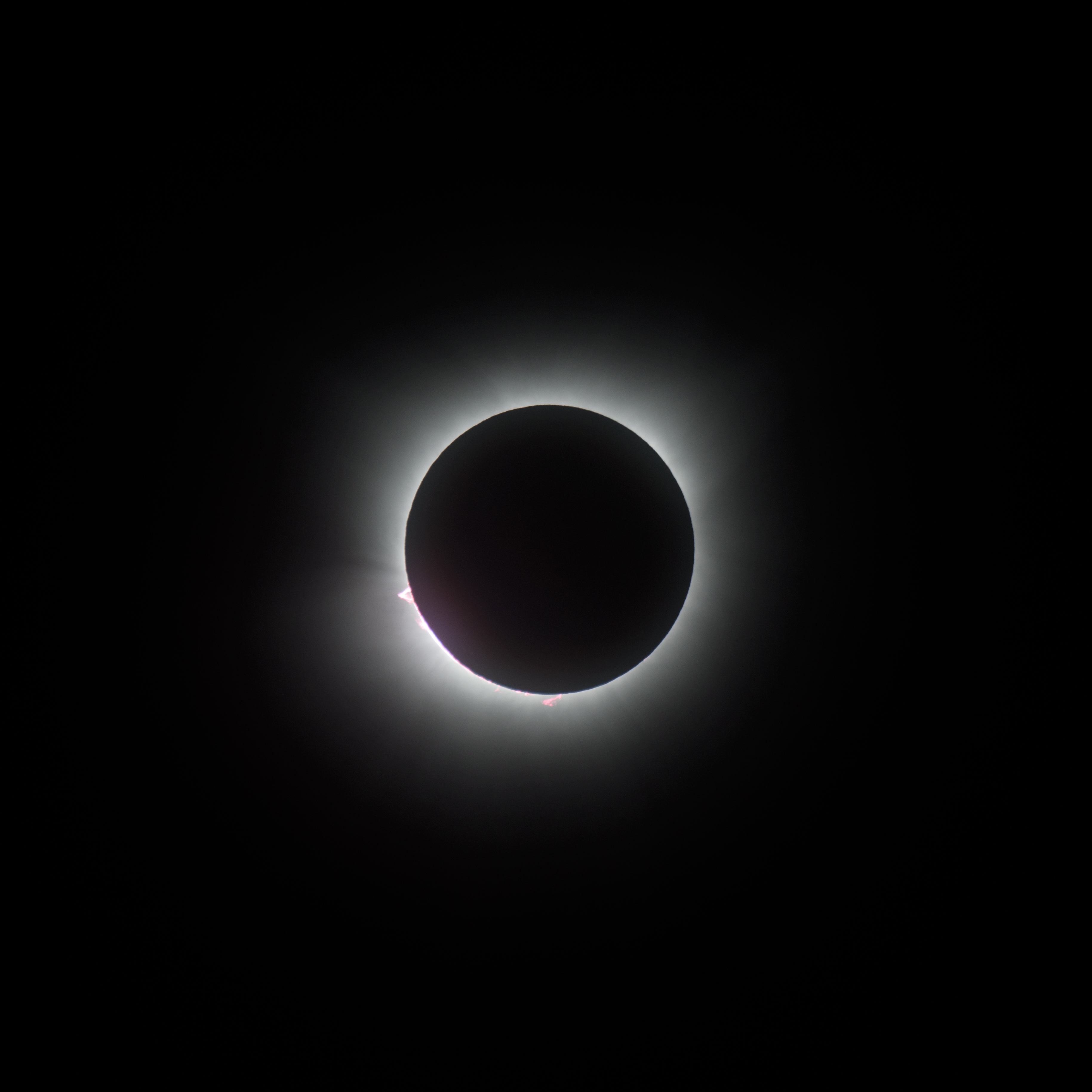 The solar corona and prominences during the 2024 solar eclipse